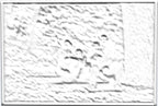 Custom Photo Lithophane – 4" × 6"